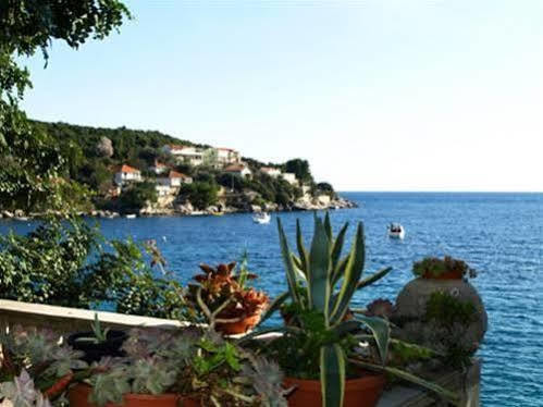 Apartment Marin Molunat