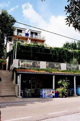 Apartment Marin Molunat