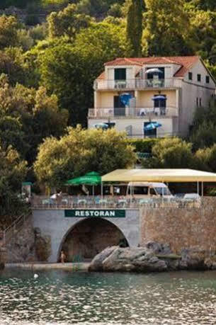 Apartment Marin Molunat